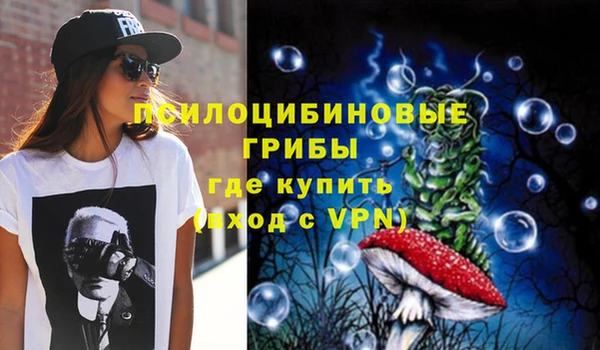 стаф Вязники