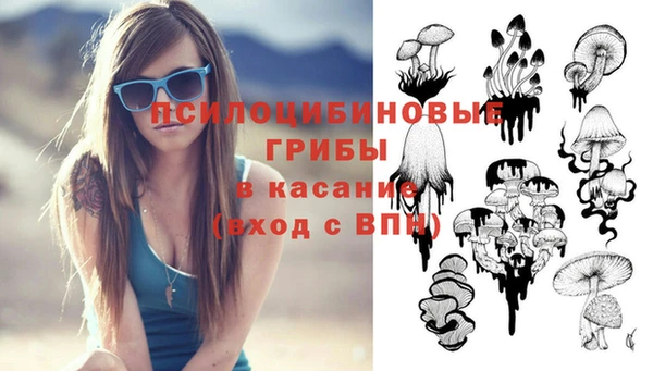 МДПВ Володарск