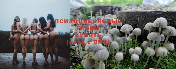 дмт Волоколамск