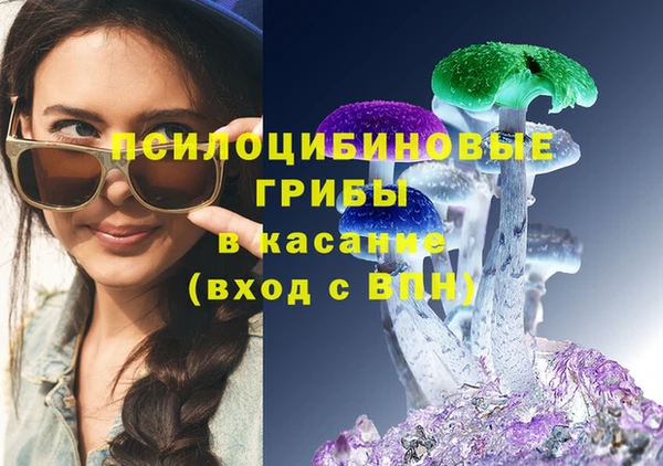 МДПВ Володарск